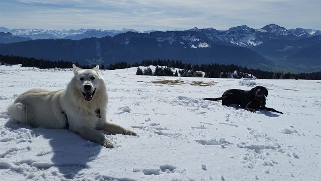 col de Senmoz (15)